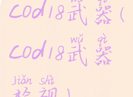 cod18武器(cod18武器检视)