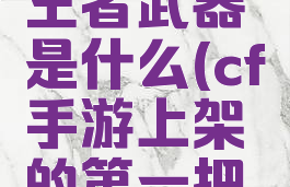 cf手游出的第一把王者武器是什么(cf手游上架的第一把王者武器是什么)