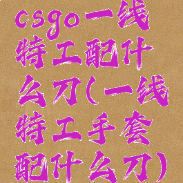 csgo一线特工配什么刀(一线特工手套配什么刀)