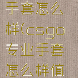 csgo专业手套怎么样(csgo专业手套怎么样值得买吗)