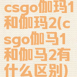 csgo伽玛1和伽玛2(csgo伽马1和伽马2有什么区别)