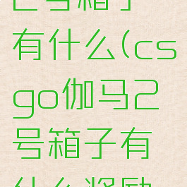 csgo伽马2号箱子有什么(csgo伽马2号箱子有什么奖励吗)