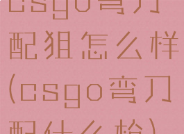 csgo弯刀配狙怎么样(csgo弯刀配什么枪)