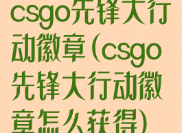 csgo先锋大行动徽章(csgo先锋大行动徽章怎么获得)