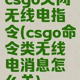 csgo关闭无线电指令(csgo命令类无线电消息怎么关)