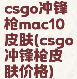 csgo冲锋枪mac10皮肤(csgo冲锋枪皮肤价格)