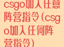 csgo加入任意阵营指令(csgo加入任何阵营指令)