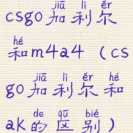 csgo加利尔和m4a4(csgo加利尔和ak的区别)