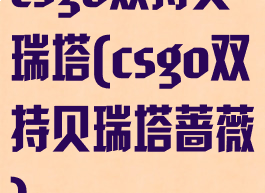 csgo双持贝瑞塔(csgo双持贝瑞塔蔷薇)