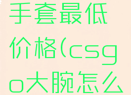 csgo大腕手套最低价格(csgo大腕怎么样)