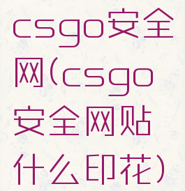 csgo安全网(csgo安全网贴什么印花)