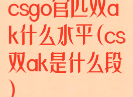 csgo官匹双ak什么水平(cs双ak是什么段)