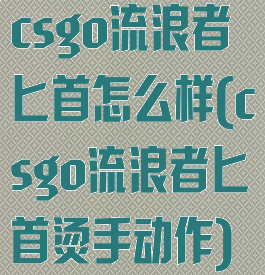 csgo流浪者匕首怎么样(csgo流浪者匕首烫手动作)