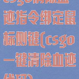 csgo清除血迹指令绑定鼠标侧键(csgo一键清除血迹代码)