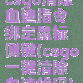 csgo清除血迹指令绑定鼠标侧键(csgo一键清除血迹代码)