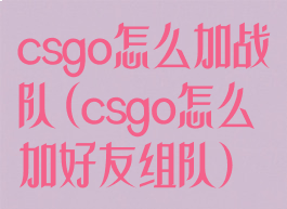 csgo怎么加战队(csgo怎么加好友组队)