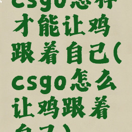 csgo怎样才能让鸡跟着自己(csgo怎么让鸡跟着自己)