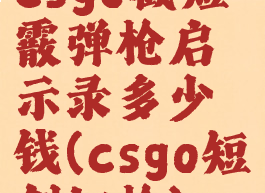 csgo截短霰弹枪启示录多少钱(csgo短剑切枪)