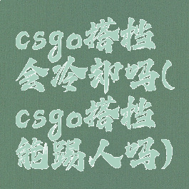 csgo搭档会冷却吗(csgo搭档能踢人吗)