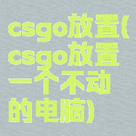 csgo放置(csgo放置一个不动的电脑)