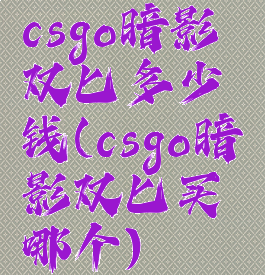 csgo暗影双匕多少钱(csgo暗影双匕买哪个)