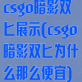 csgo暗影双匕展示(csgo暗影双匕为什么那么便宜)