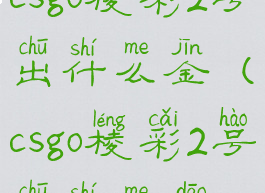 csgo棱彩2号出什么金(csgo棱彩2号出什么刀)