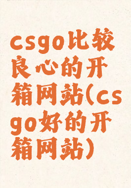 csgo比较良心的开箱网站(csgo好的开箱网站)