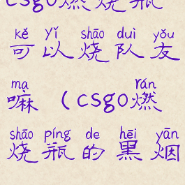 csgo燃烧瓶可以烧队友嘛(csgo燃烧瓶的黑烟)