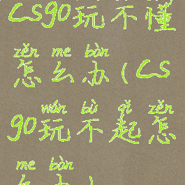 csgo玩不懂怎么办(csgo玩不起怎么办)