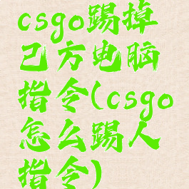 csgo踢掉己方电脑指令(csgo怎么踢人指令)