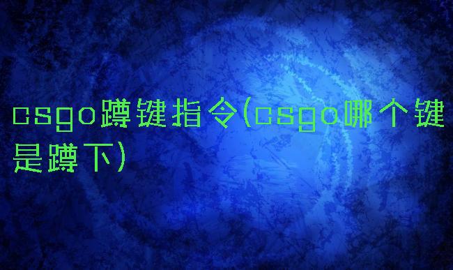csgo蹲键指令(csgo哪个键是蹲下)