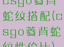 csgo菱背蛇纹搭配(csgo菱背蛇纹性价比)