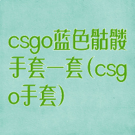 csgo蓝色骷髅手套一套(csgo手套)
