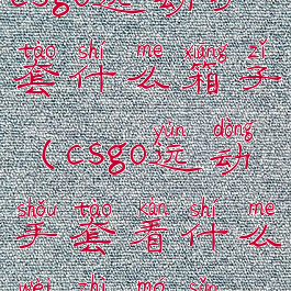 csgo运动手套什么箱子(csgo运动手套看什么位置磨损)
