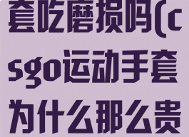 csgo运动手套吃磨损吗(csgo运动手套为什么那么贵)