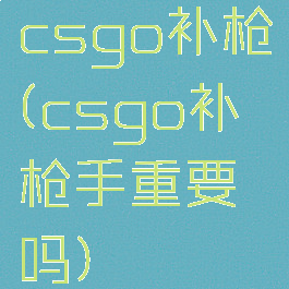 csgo补枪(csgo补枪手重要吗)