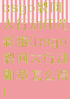 csgo裂网大行动印花彩蛋(csgo裂网大行动勋章怎么得)