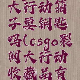 csgo裂网大行动箱子要钥匙吗(csgo裂网大行动收藏品有哪些)