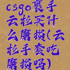 csgo裹手云杉买什么磨损(云杉手套吃磨损吗)