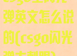 csgo里闪光弹英文怎么说的(csgo闪光弹太刺眼)