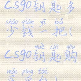 csgo钥匙多少钱一把(csgo钥匙购买平台)