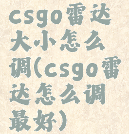 csgo雷达大小怎么调(csgo雷达怎么调最好)