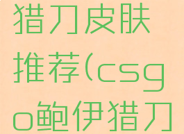 csgo鲍伊猎刀皮肤推荐(csgo鲍伊猎刀值得买吗)