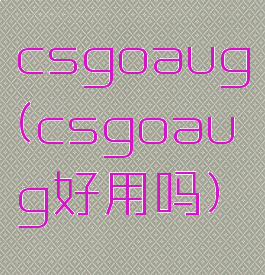 csgoaug(csgoaug好用吗)