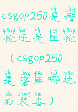 csgop250是警枪还是匪枪(csgop250是警匪哪边的装备)
