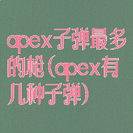 apex子弹最多的枪(apex有几种子弹)