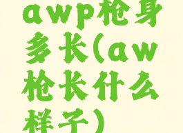 awp枪身多长(aw枪长什么样子)