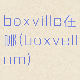 boxville在哪(boxvellum)