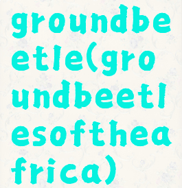 groundbeetle(groundbeetlesoftheafrica)